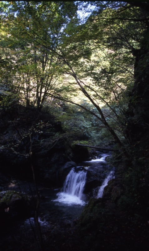 川苔山