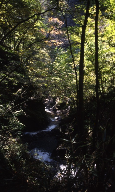 川苔山