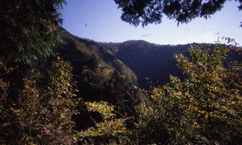 川苔山