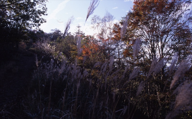 川苔山