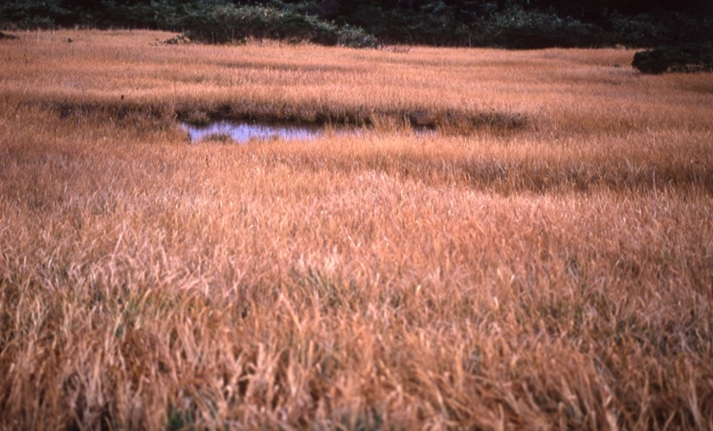 秋田・駒ヶ岳