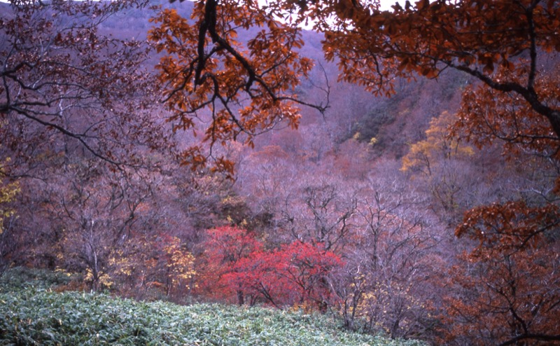 秋田・駒ヶ岳