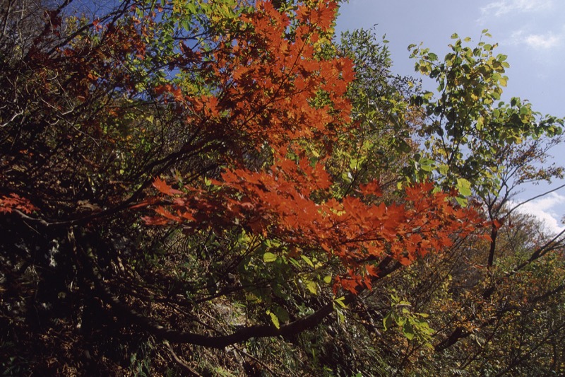 谷川岳