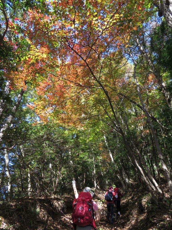 大岳山