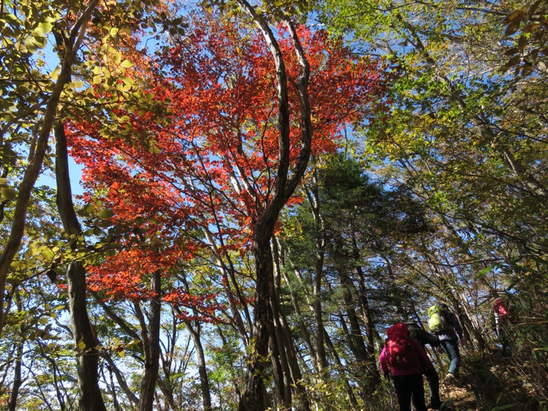 大岳山