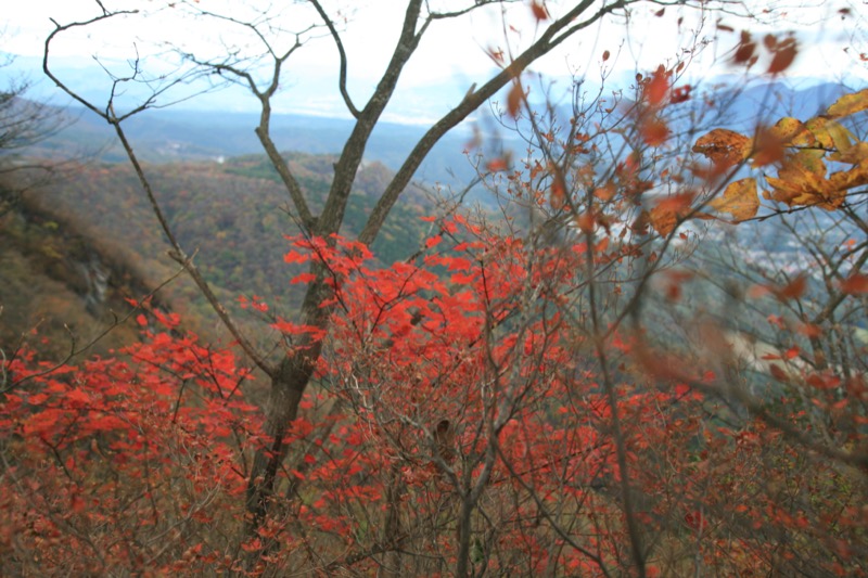 水沢山