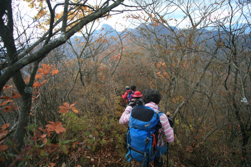 水沢山