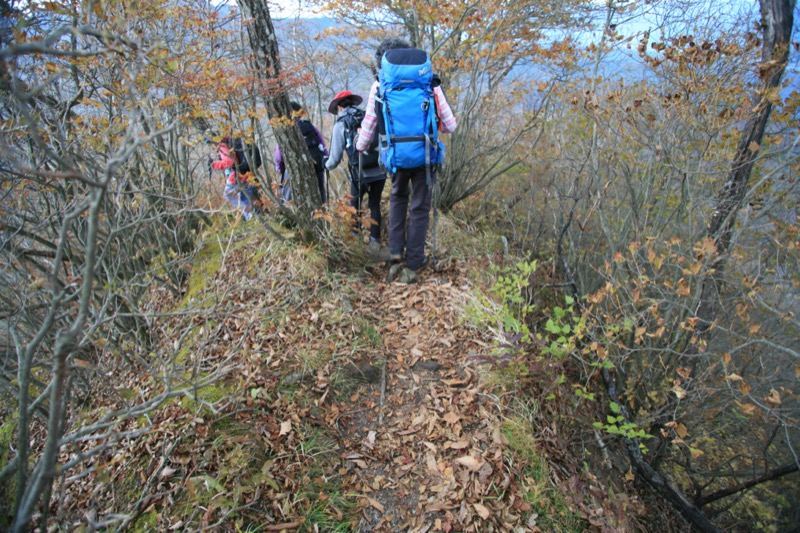 水沢山