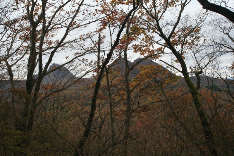 水沢山