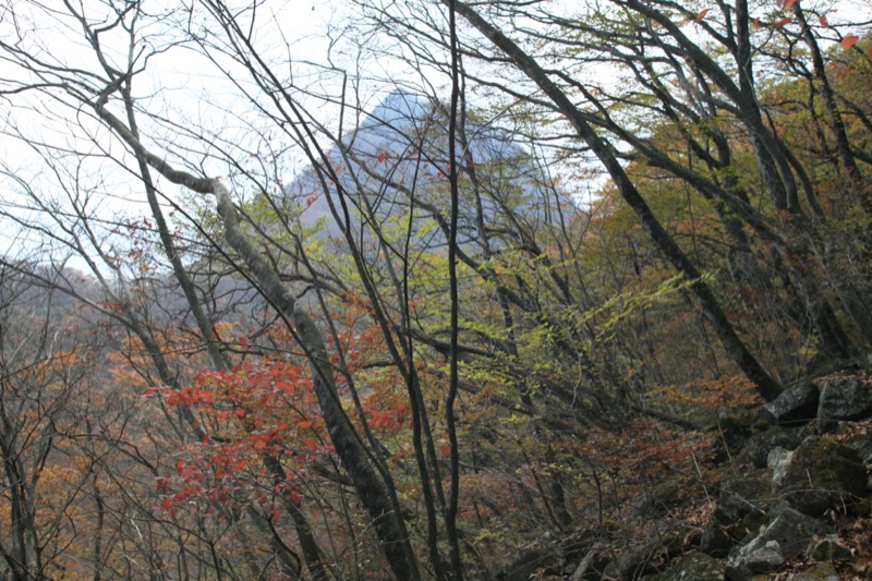 水沢山