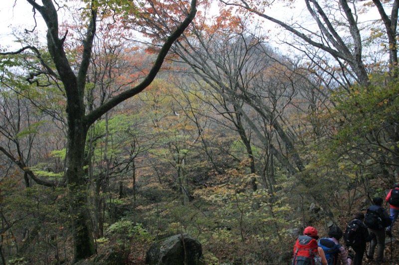 水沢山