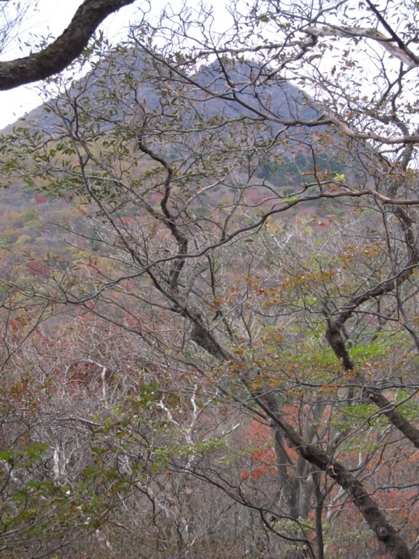 水沢山