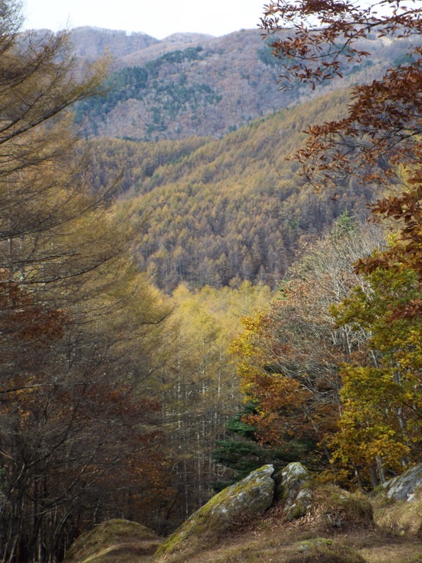 小楢山