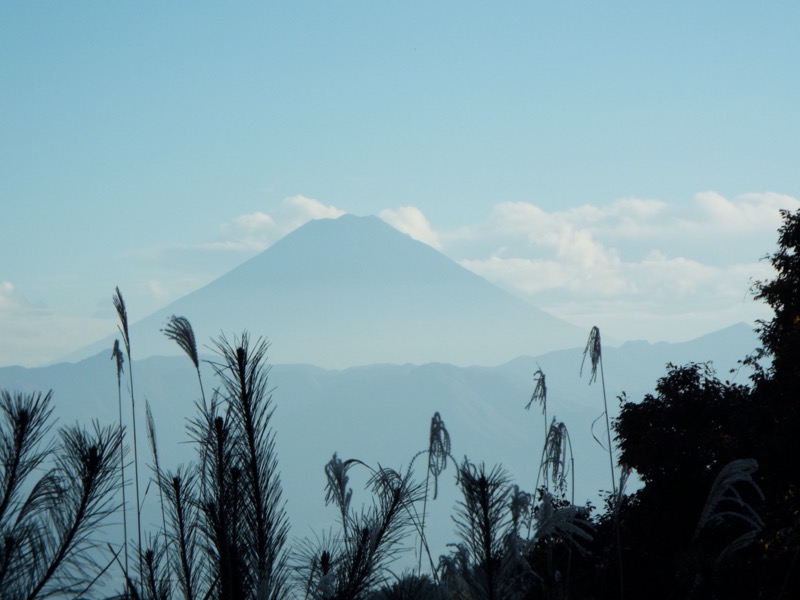 小楢山