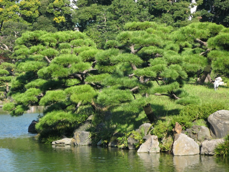 清澄庭園