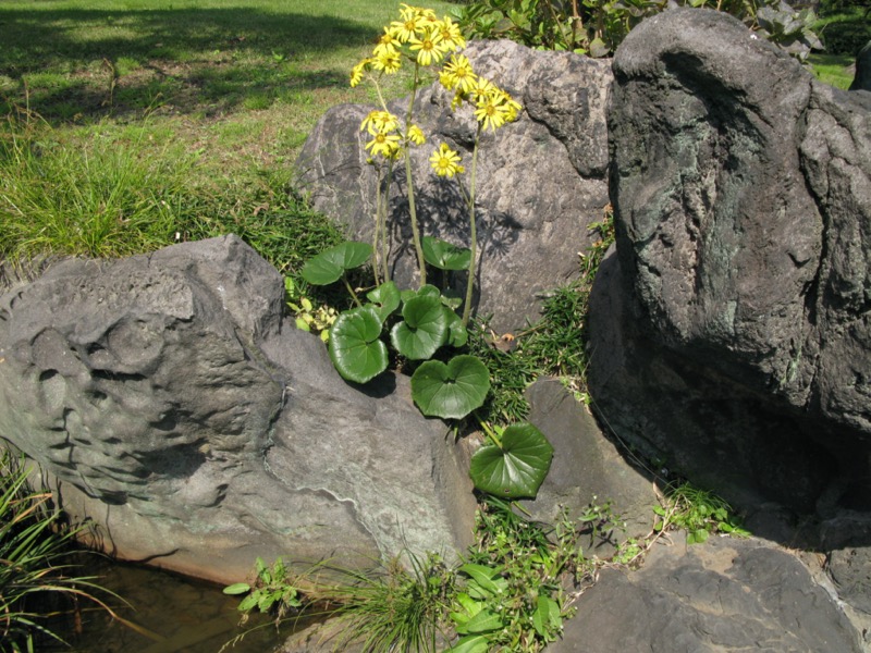 清澄庭園