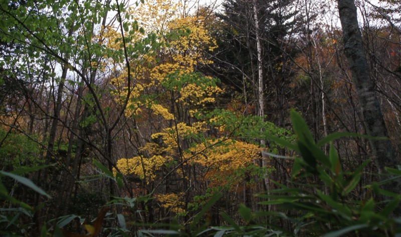 那須岳