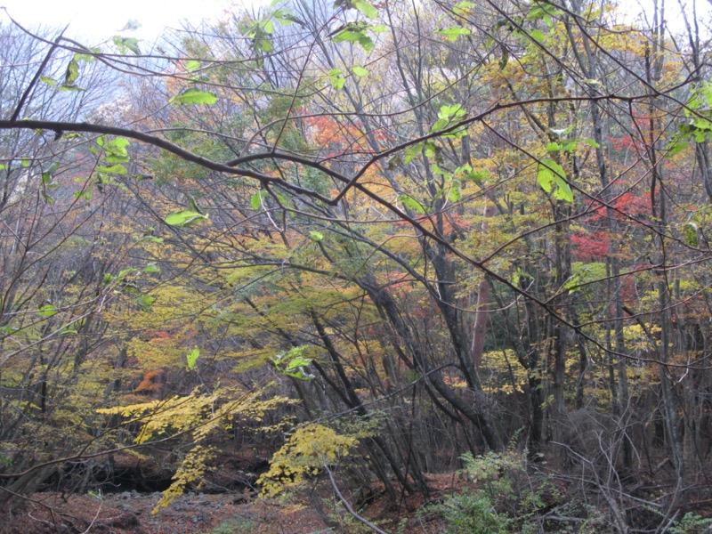 竜ヶ岳