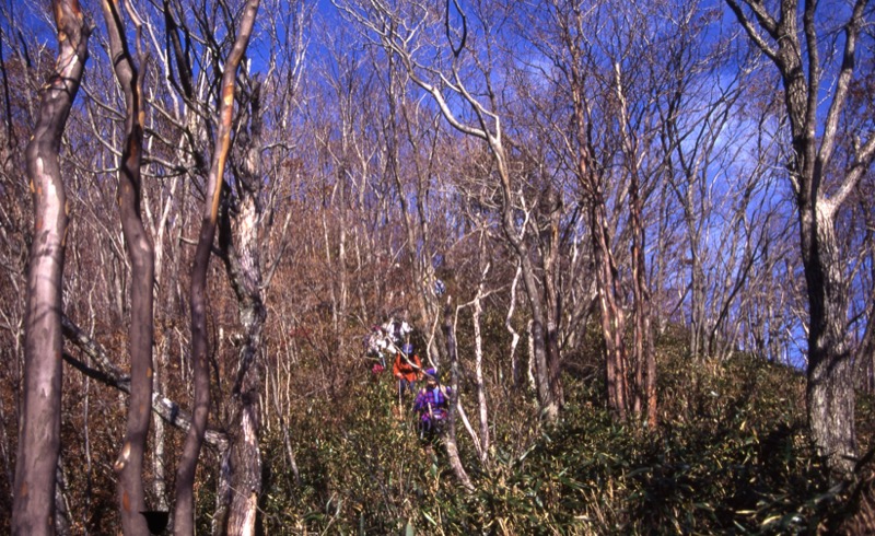 笹子・雁ヶ腹摺山