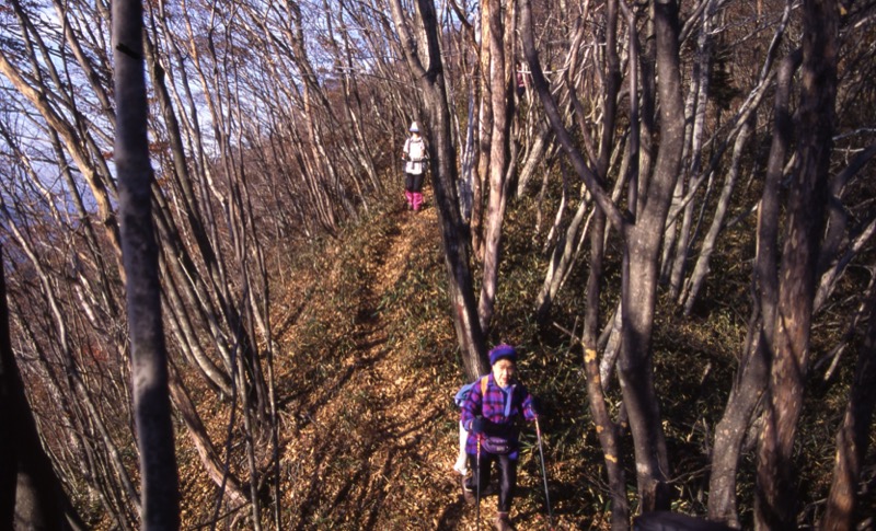 笹子・雁ヶ腹摺山