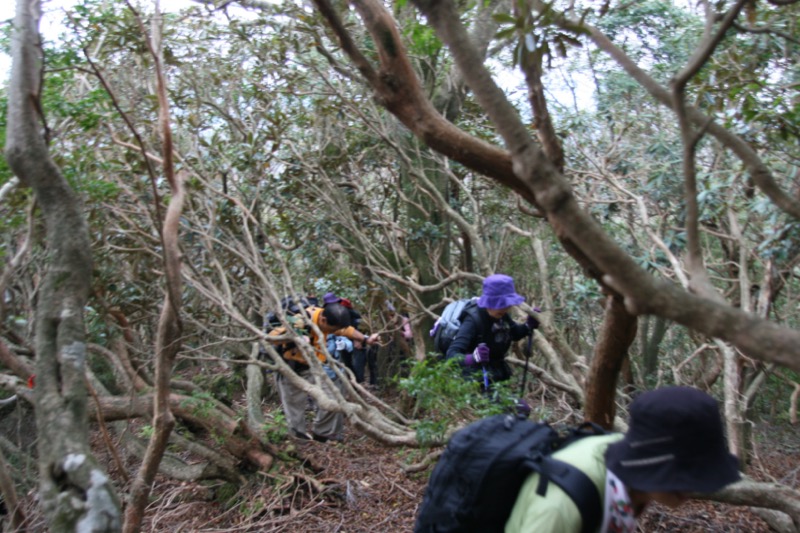 長九郎山