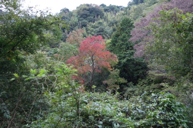 長九郎山