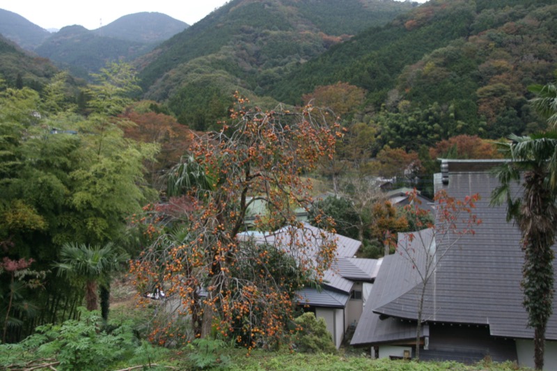 高松山