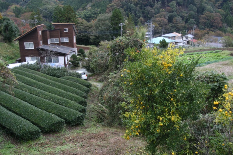 高松山