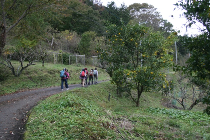 高松山