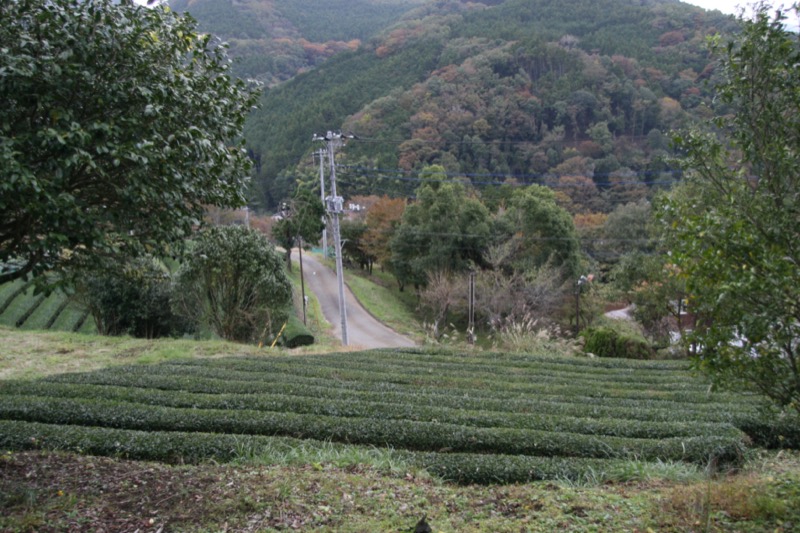 高松山