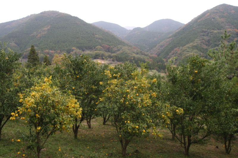 高松山