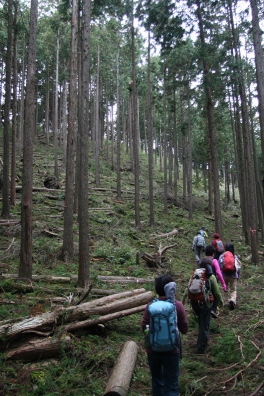 高松山