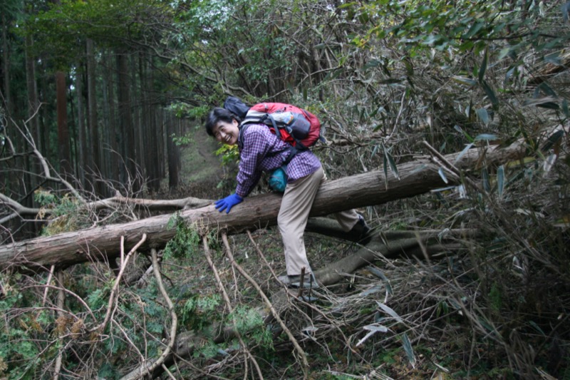 高松山