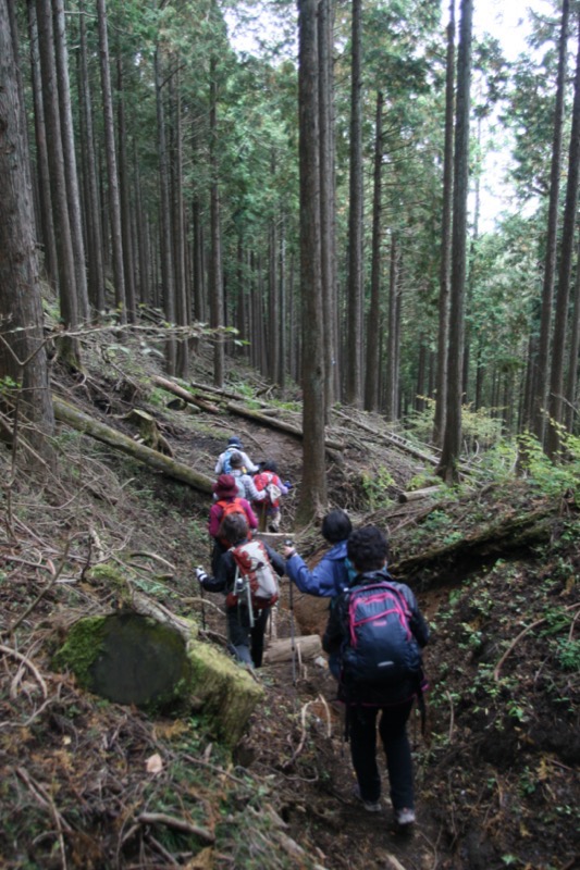 高松山