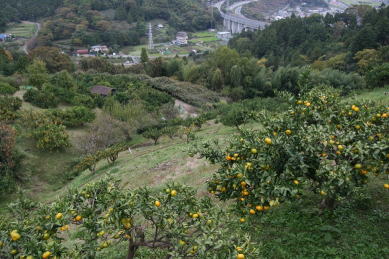 高松山