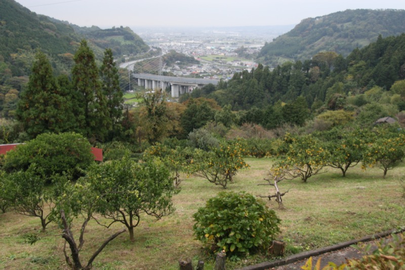 高松山