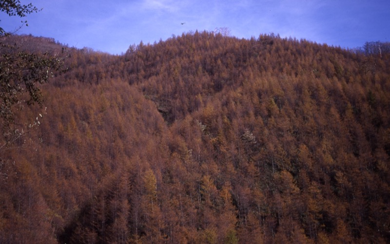 雁ヶ腹摺山