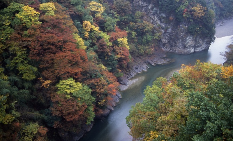 秩父・御岳山