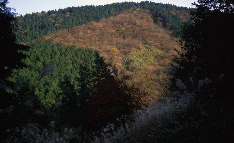 丹沢・表尾根