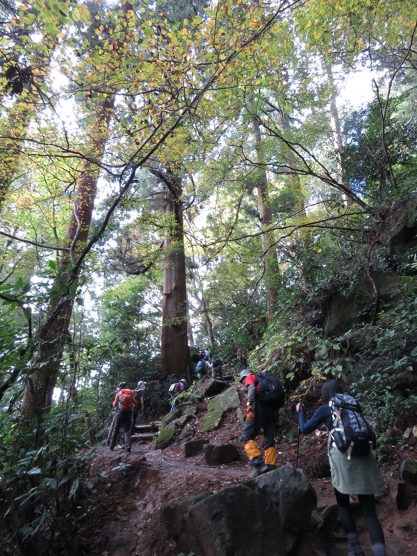 筑波山