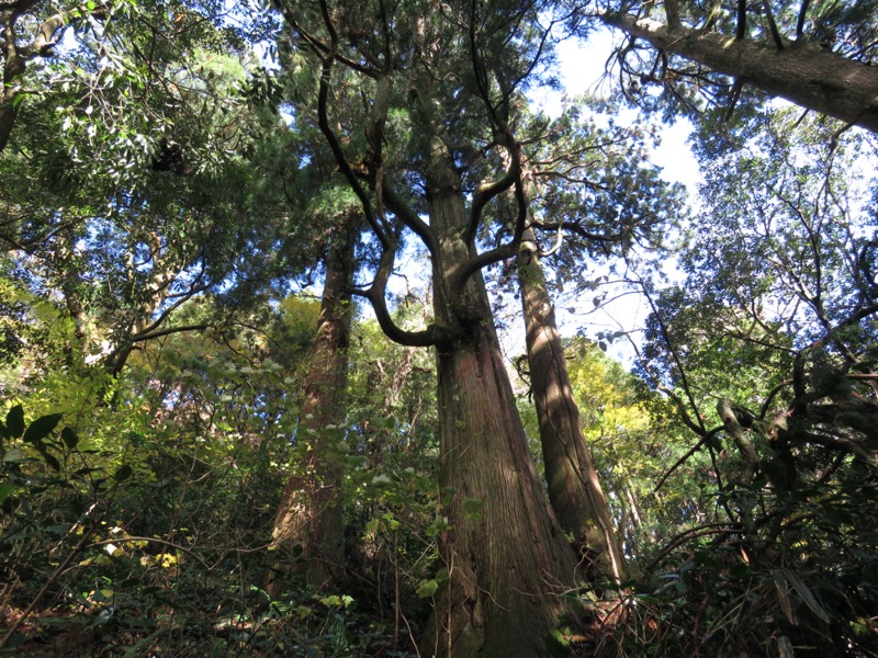 筑波山