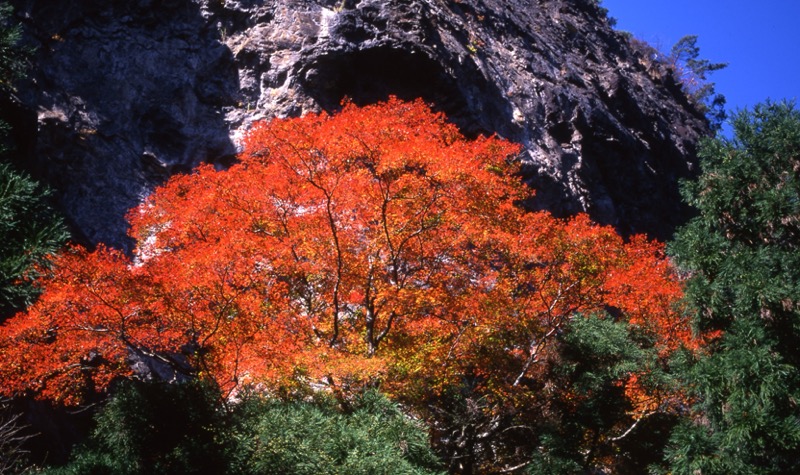 子持山