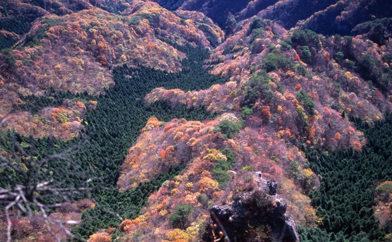 子持山