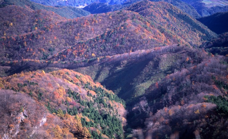 子持山