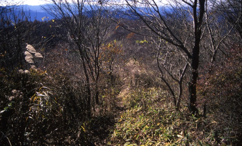 子持山