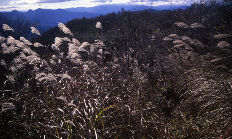 子持山