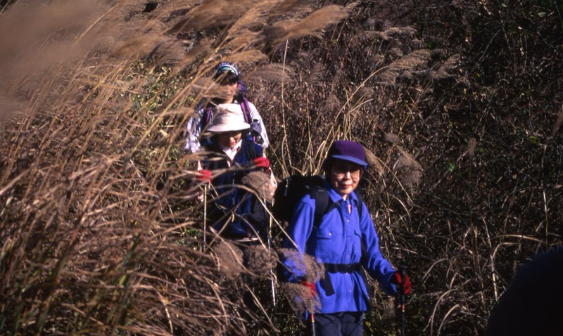 子持山