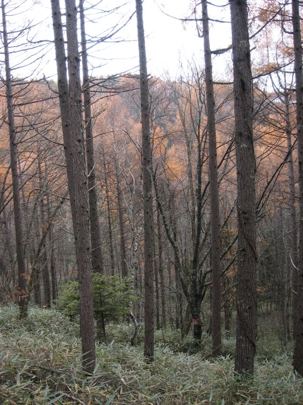 赤岳鉱泉