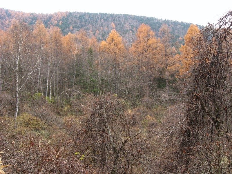 赤岳鉱泉