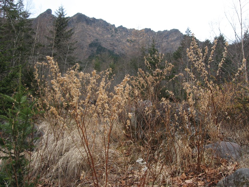 赤岳鉱泉